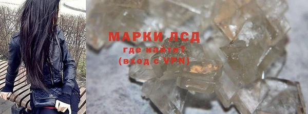 прущие грибы Гусиноозёрск