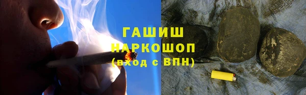 прущие грибы Гусиноозёрск