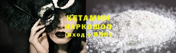 прущие грибы Гусиноозёрск