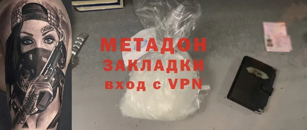 прущие грибы Гусиноозёрск