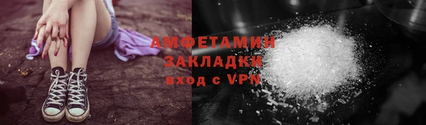 прущие грибы Гусиноозёрск