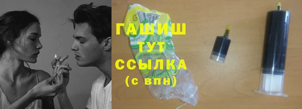 прущие грибы Гусиноозёрск
