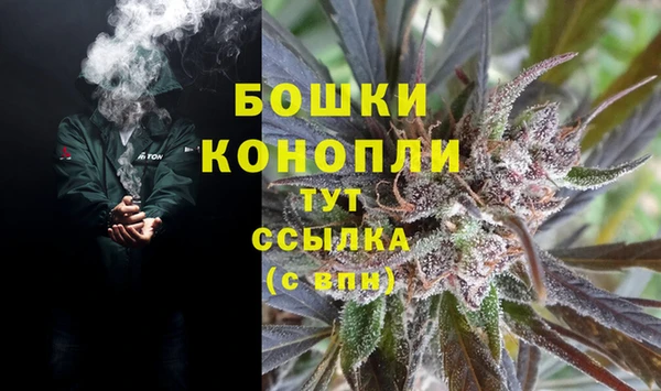 прущие грибы Гусиноозёрск