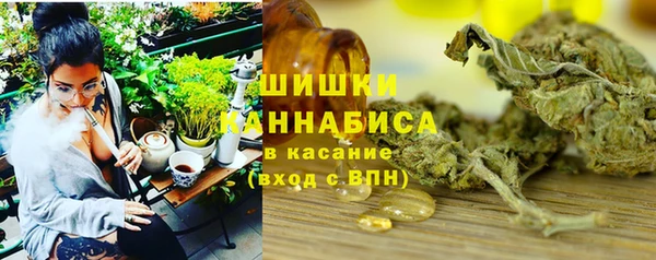 ешки Гусев