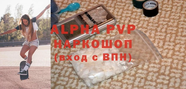 прущие грибы Гусиноозёрск