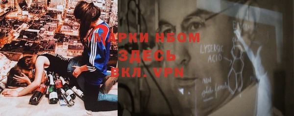 сатива Болхов