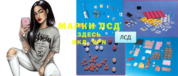 ГАЛЛЮЦИНОГЕННЫЕ ГРИБЫ Болотное