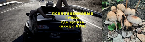 ешки Гусев