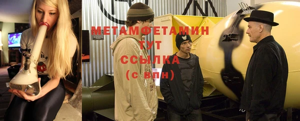 прущие грибы Гусиноозёрск