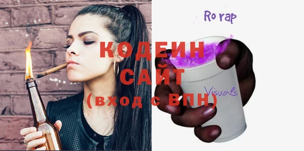 прущие грибы Гусиноозёрск
