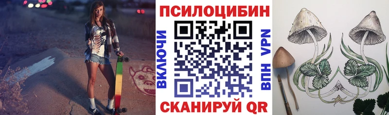 как найти наркотики  Елизово  Псилоцибиновые грибы мицелий 